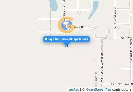 Angelic Investigations