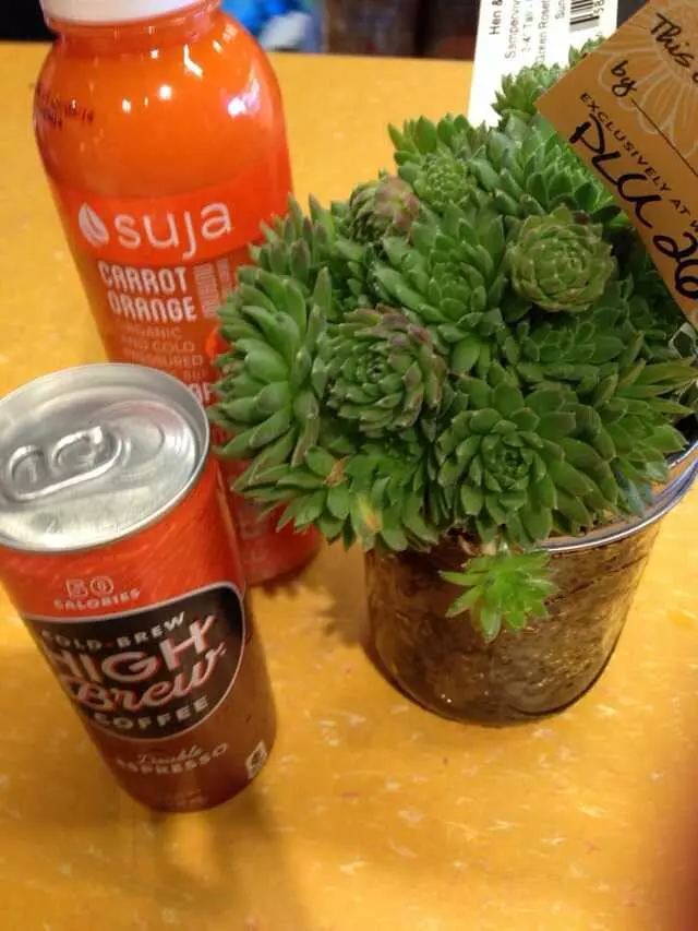 Whole Foods Market