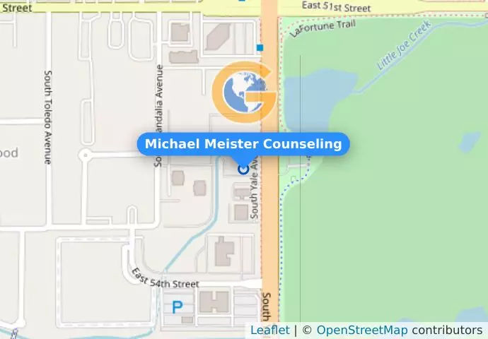 Michael Meister Counseling