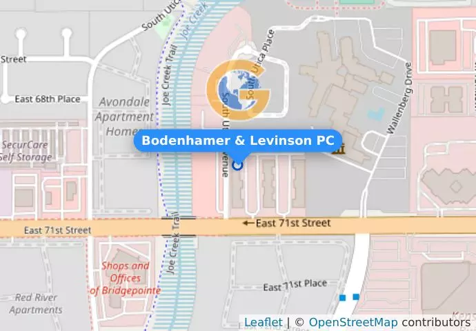 Bodenhamer & Levinson PC