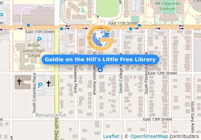 Goldie on the Hill&apos;s Little Free Library