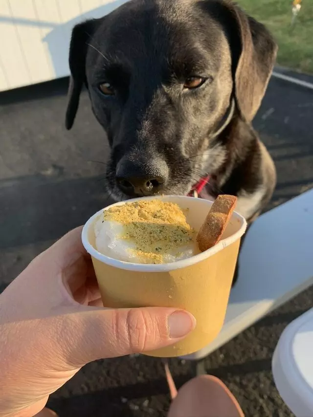 Annie&apos;s Tropical Sno