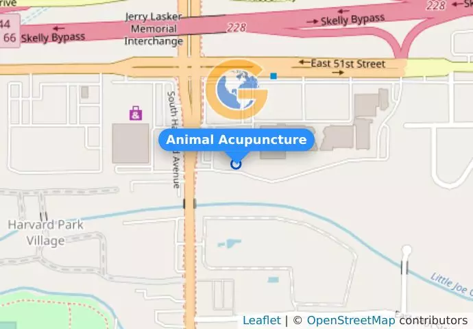Animal Acupuncture