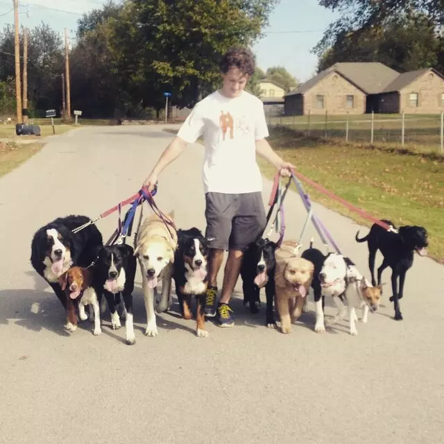 A Peaceful Pack