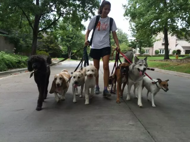 A Peaceful Pack