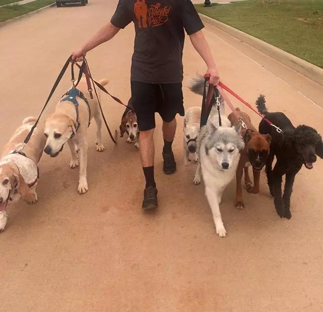 A Peaceful Pack