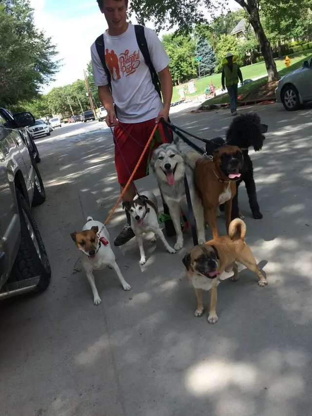 A Peaceful Pack