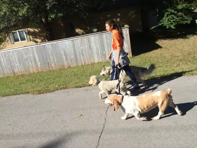 A Peaceful Pack