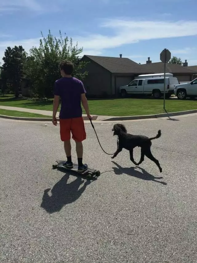 A Peaceful Pack