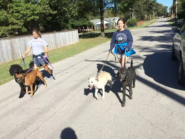 A Peaceful Pack