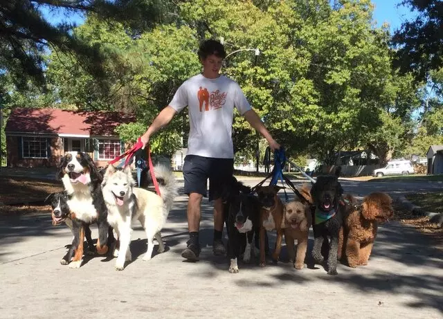 A Peaceful Pack