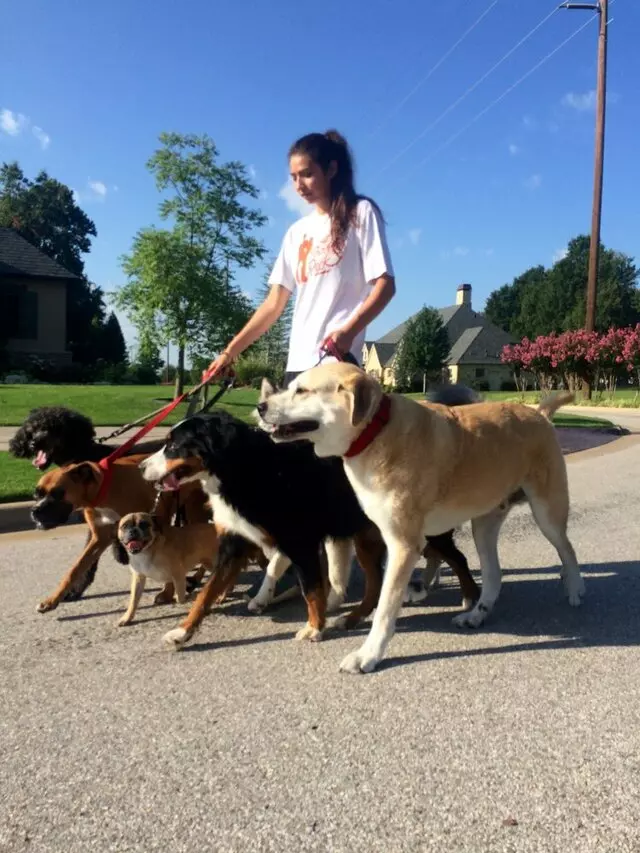 A Peaceful Pack