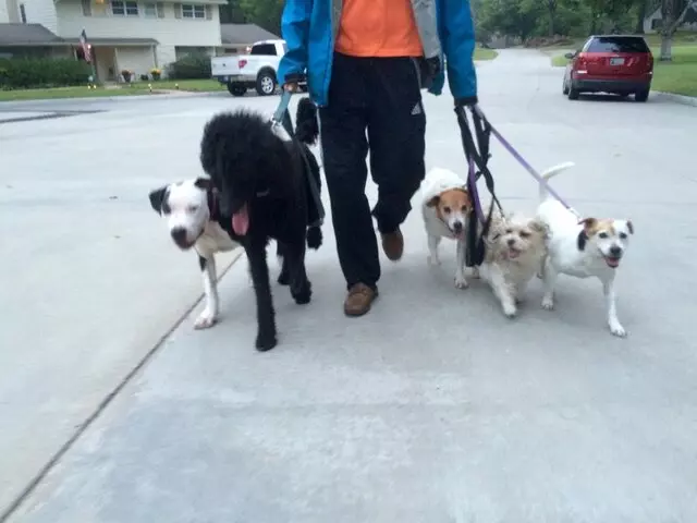 A Peaceful Pack