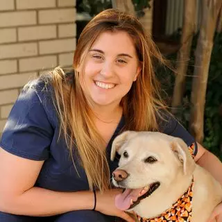 15th Street Veterinary Group