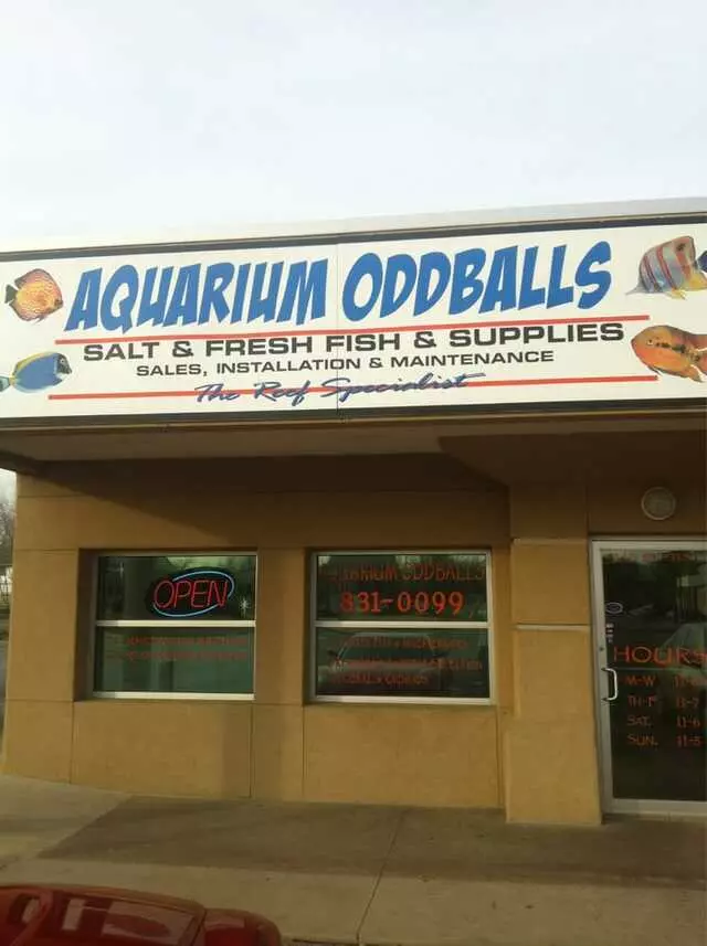 Aquarium Oddballs