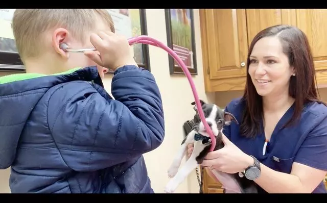 Animal Medical And Surgical Hospital