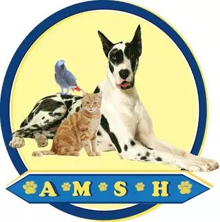 Animal Medical And Surgical Hospital