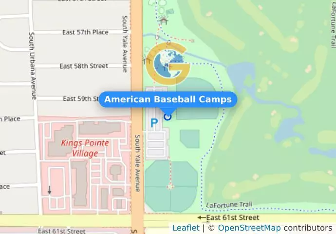 American Baseball Camps
