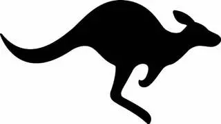 Aussie Real Estate Team
