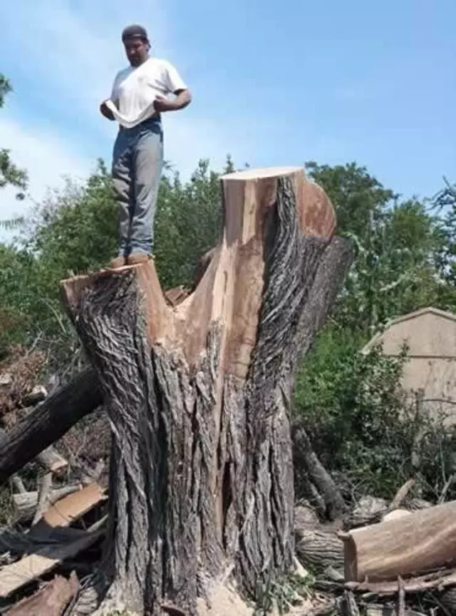 2 Brother’s Tree Service