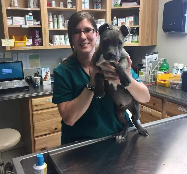 Affordable Pet Care Veterinary Clinic - Tulsa