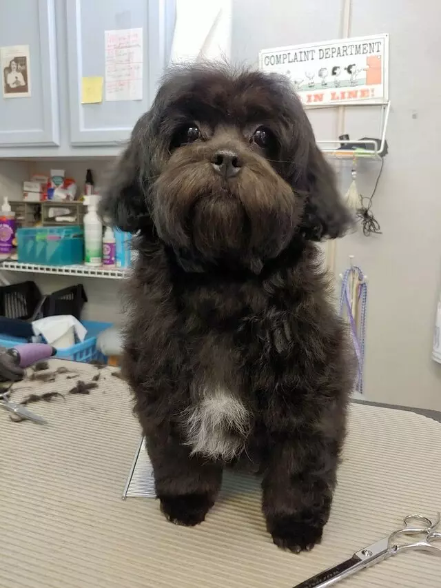 Aurora Kennel