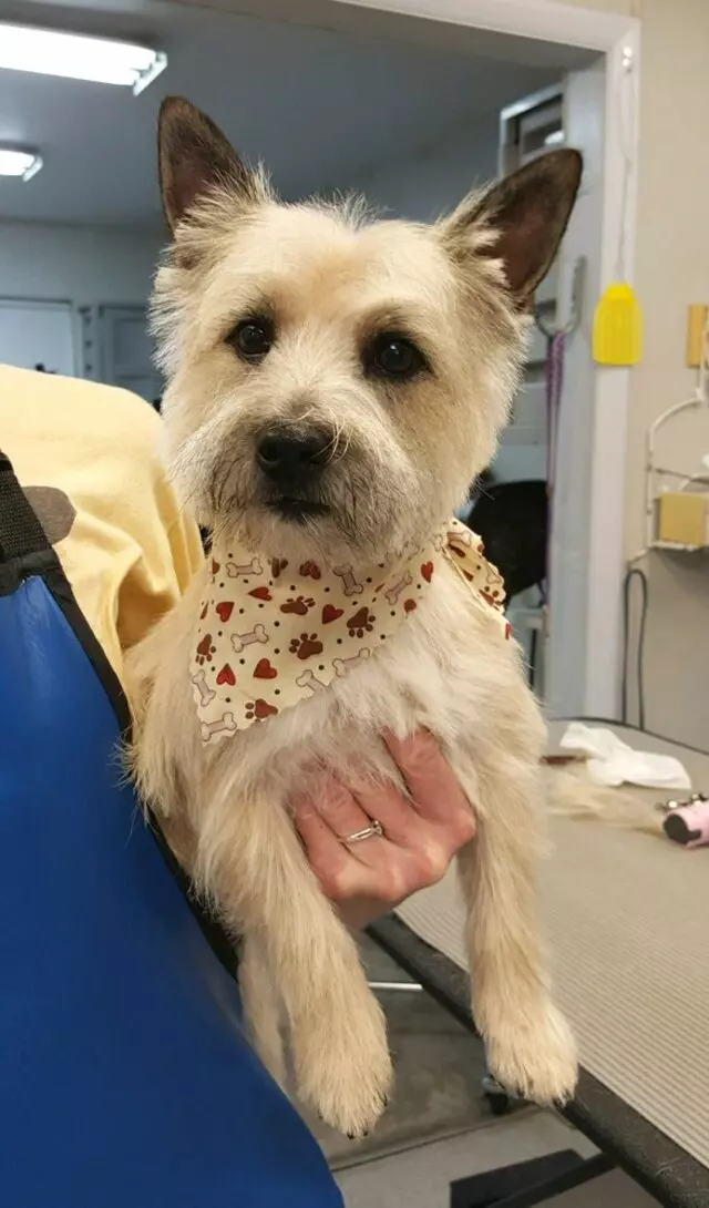 Aurora Kennel