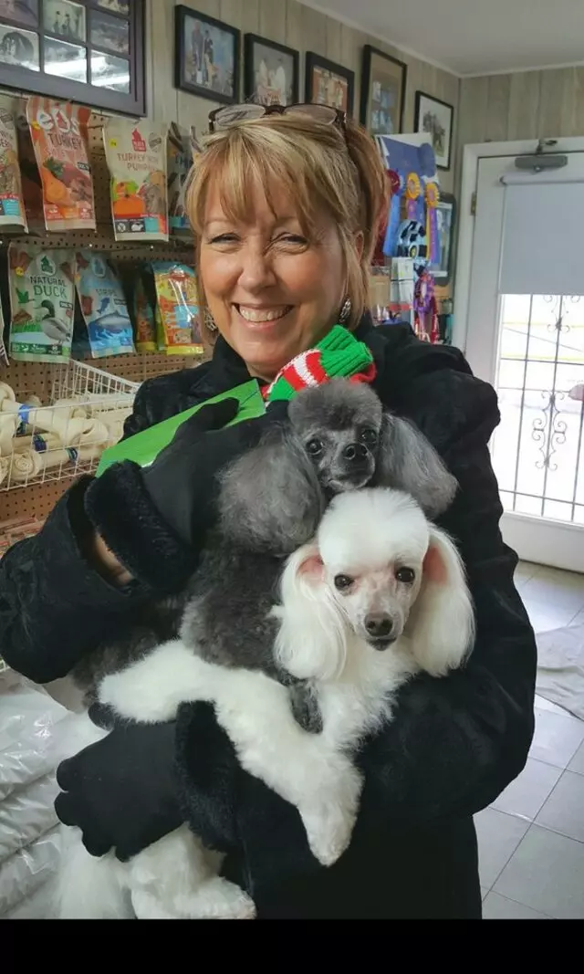 Aurora Kennel