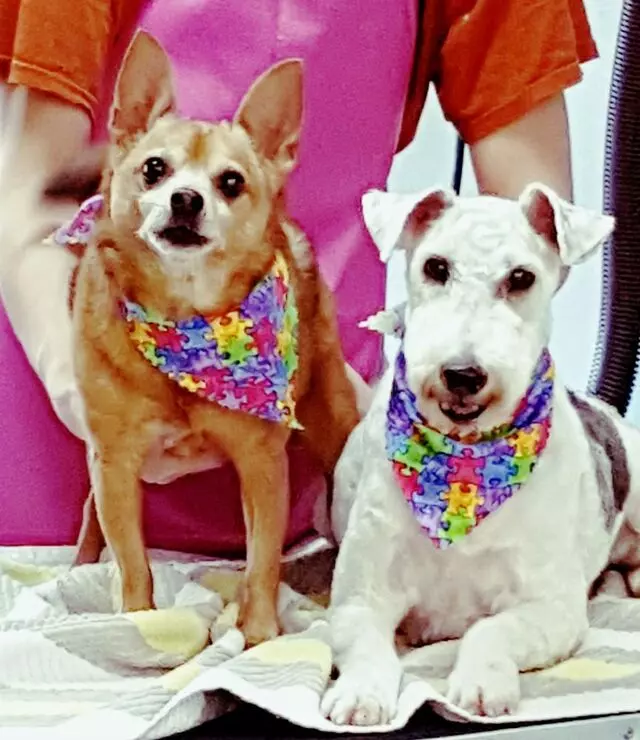 Aurora Kennel