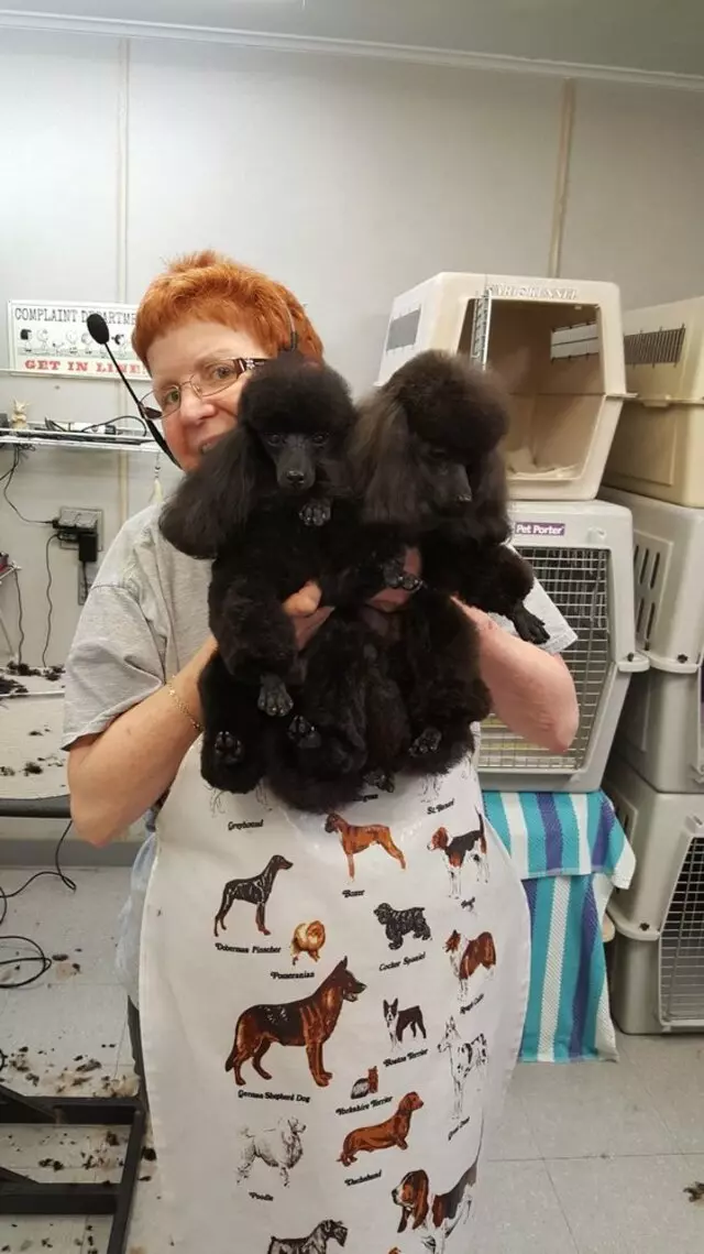 Aurora Kennel