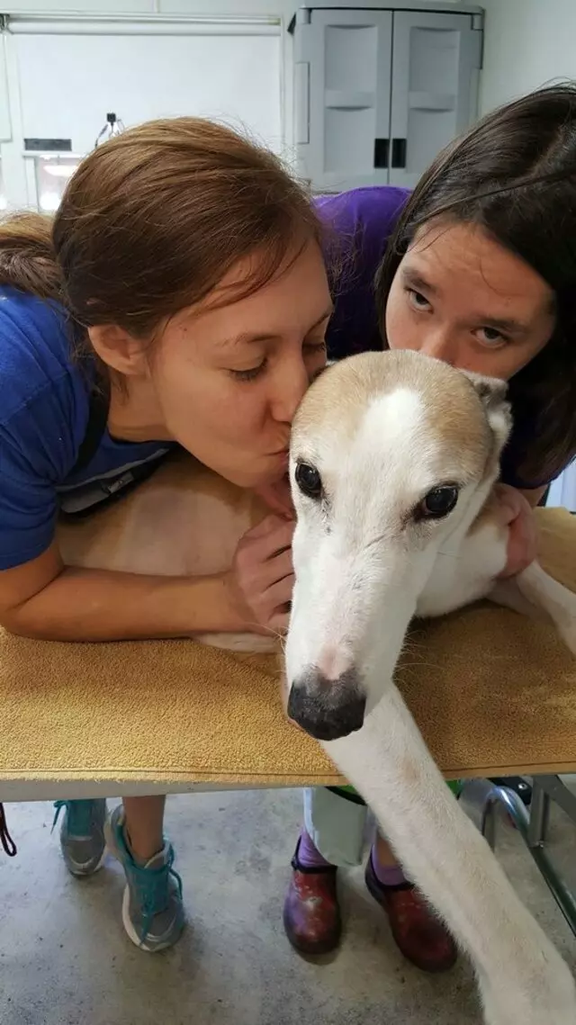 Aurora Kennel