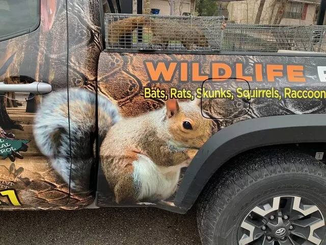 AAAC Wildlife Removal of Tulsa