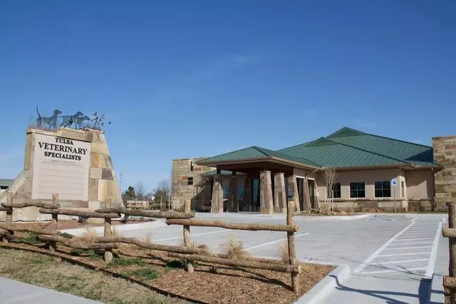Animal Eye Clinic