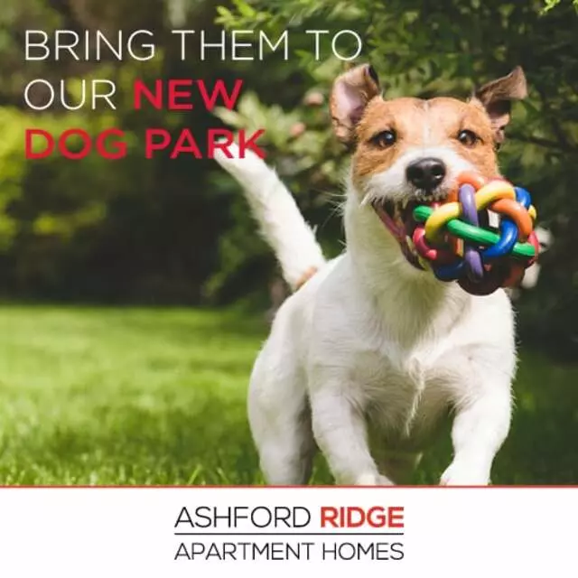 Ashford Ridge