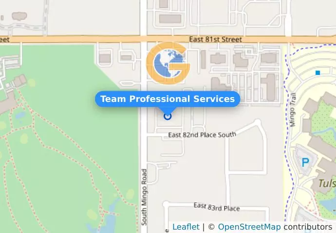 Team Professional Services
