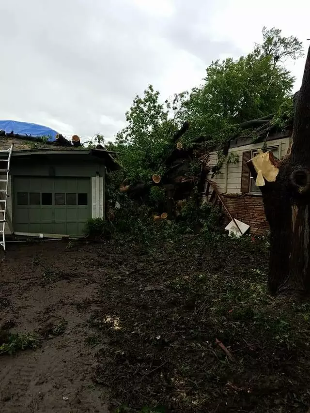Atkins Tree Care