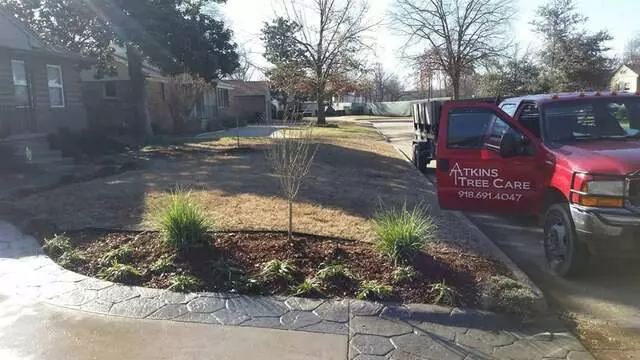 Atkins Tree Care