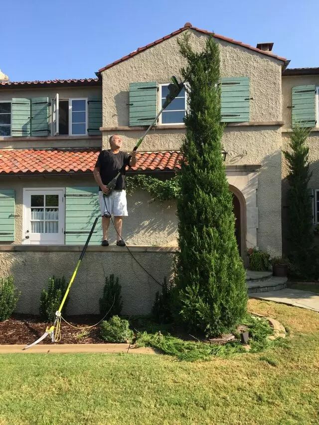 Atkins Tree Care