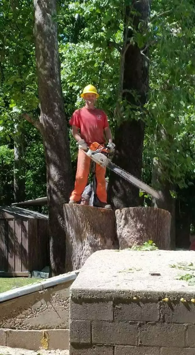 Atkins Tree Care