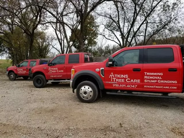 Atkins Tree Care