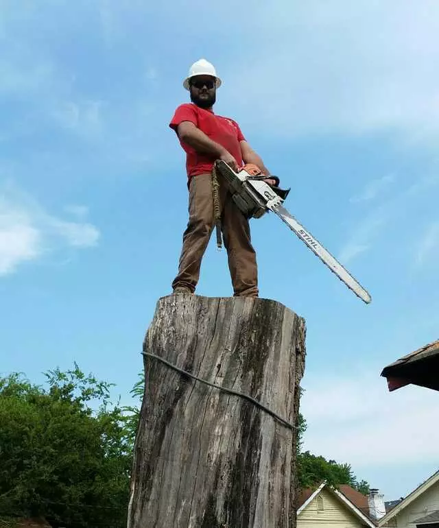 Atkins Tree Care
