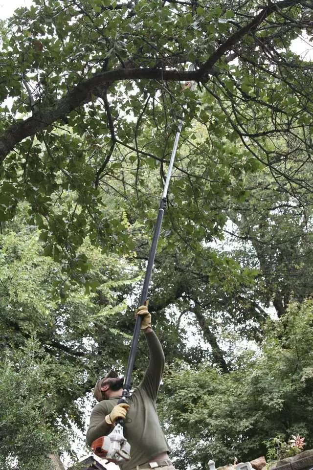 Atkins Tree Care