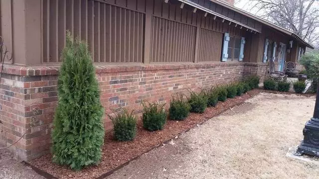 Atkins Tree Care