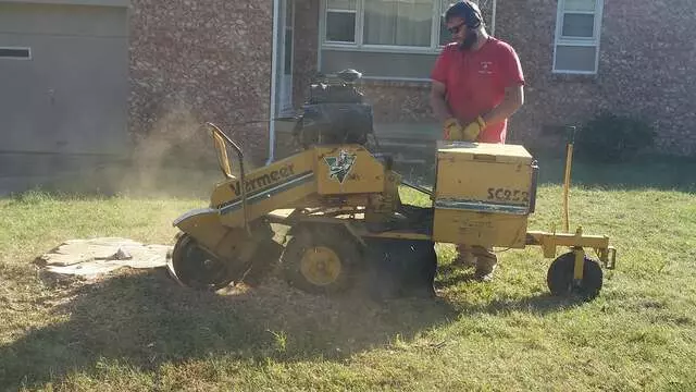 Atkins Tree Care