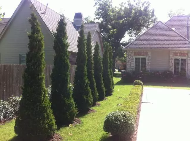 Atkins Tree Care
