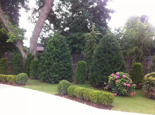 Atkins Tree Care