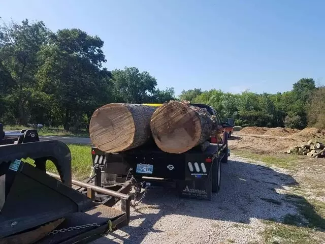 Atkins Tree Care