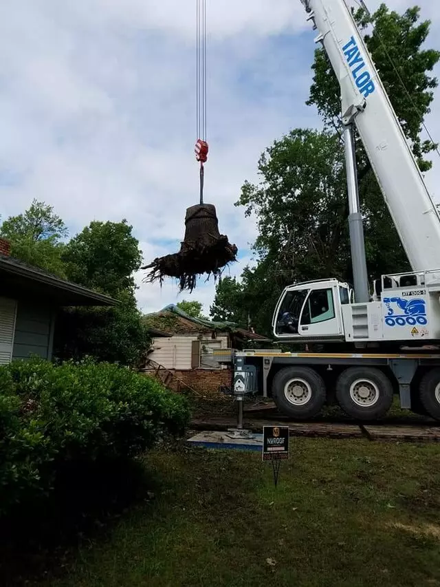 Atkins Tree Care