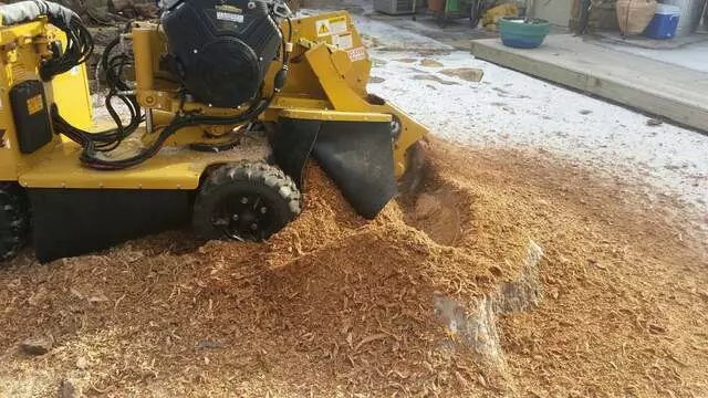 Atkins Tree Care