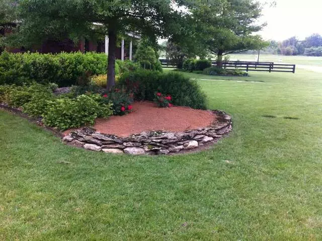 Atkins Tree Care